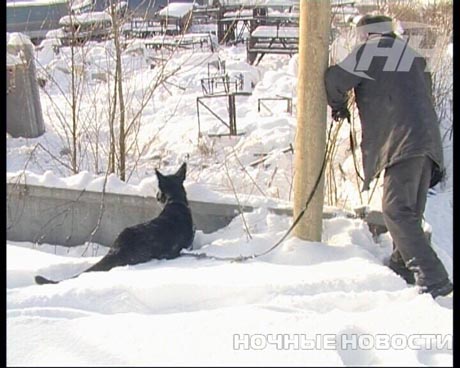 Просто день катастроф какой-то. В Екатеринбурге на стройплощадке сгорел вагончик. При разборе завалов пожарных ждала находка, как в голливудском триллере 